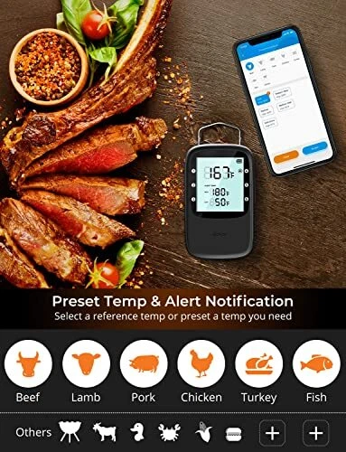 Bluetooth Meat Thermometer, Wireless Meat Thermometer for Smoker 2 x Probes