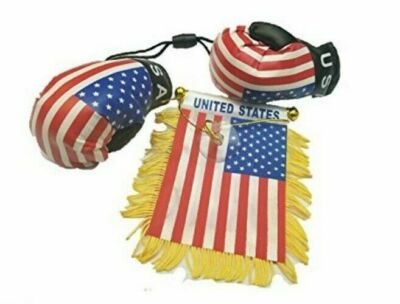 Mexico Boxing Glove & Fringed Banner Combo - Car Mirror Decor & Window Hanging Flag
