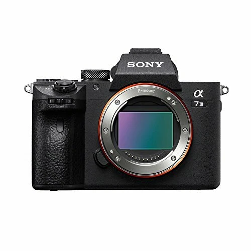 Sony Alpha a7 III Mirrorless Digital Camera Body Only