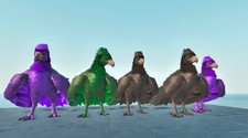 5 x Solid Argy Pack Ark Survival Ascended PVE ASA Argentavis PC/Xbox/PS5