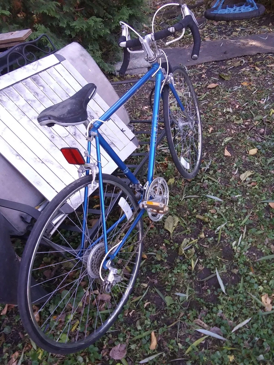 27 in 22 in Frame Vintage Bikes for sale | eBay