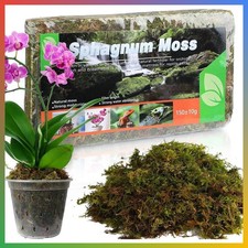 Dried Forest Moss Potting Sphagnum 5 Quart 1 Pack For Plants Reptiles