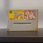 Final Fight 2 Nintendo Super Famicom NTSC-J 1993 Game Cartridge