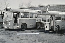 240g  6x4" Bus Photo -  London Country.  Fleet no's. BN50 and BN34.