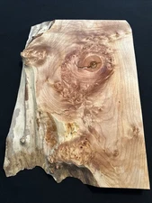 Maple Burl, Live Edge, 17 1/2” Long, 12 1/2” Wide, 1 3/16” Thick, Dry