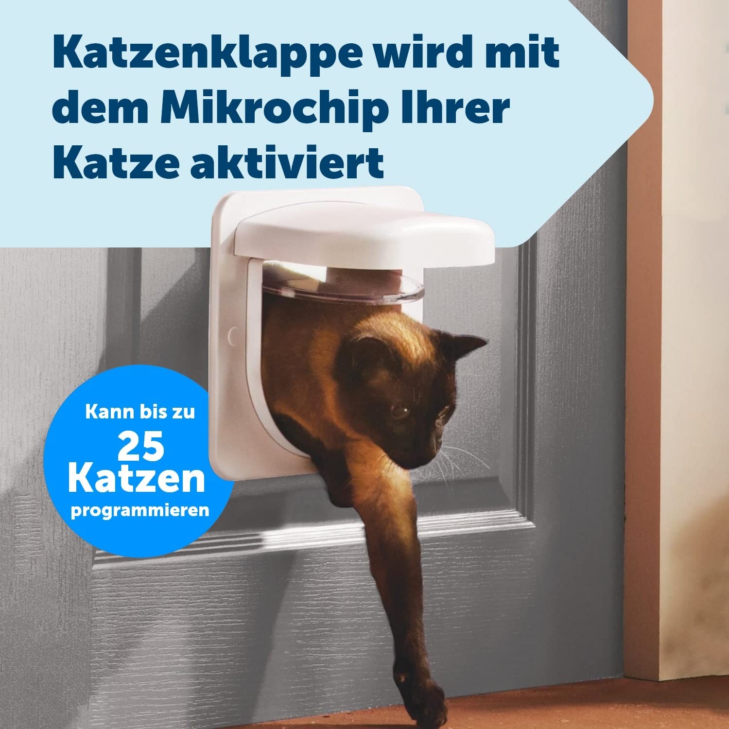 Bild 5 von 6