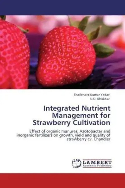 Shailendra Kumar Yadav (U. A.) | Integrated Nutrient Management For...-image