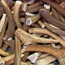 Bulk Elk Antler Dog Chews - Whole Cut -A Grade - Mixed Sizes - Sold by the Pound