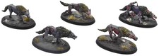 SOULBLIGHT GRAVELORDS 5 Dire Wolves #2 PRO PAINTED Sigmar 0773