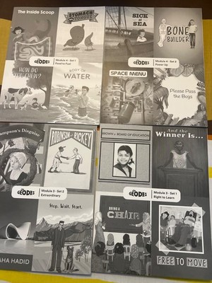 Geodes Wilson Fundations book. Level 2 variety