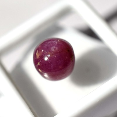 CERTIFIED 8.65 Ct Natural Amazing RED Star Ruby Round Shape Loose Gemstone