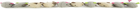 Bild 12 von 12