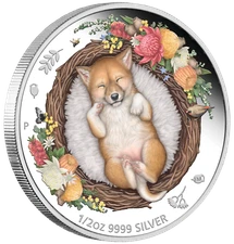 DREAMING DOWN UNDER Dingo 2021 1/2oz .9999 SILVER PROOF COLOURED COIN