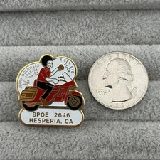 Hesperia Lodge 2646 CA Elks Club Tiger Eye Rock Woodward 1995 Pin Pinback #59544