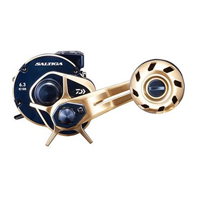 Daiwa 21 Saltiga IC 100NEW | eBay