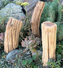 Large Driftwood Manzanita for Aquarium Terrarium Bonsai Reptile Log Trio