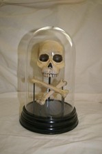 Ghouls  Gala Skull and Crossbones Halloween Centerpiece 2008 Holiday D cor