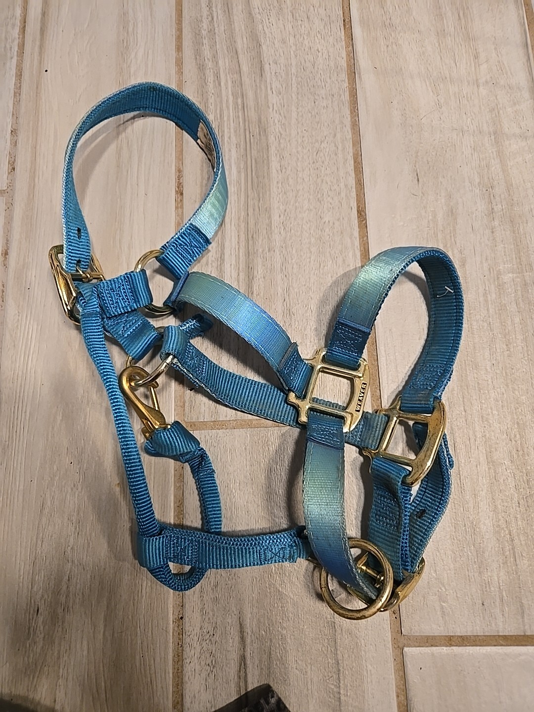 Weaver Original BLUE Nylon Halter, 800-1000 pounds.