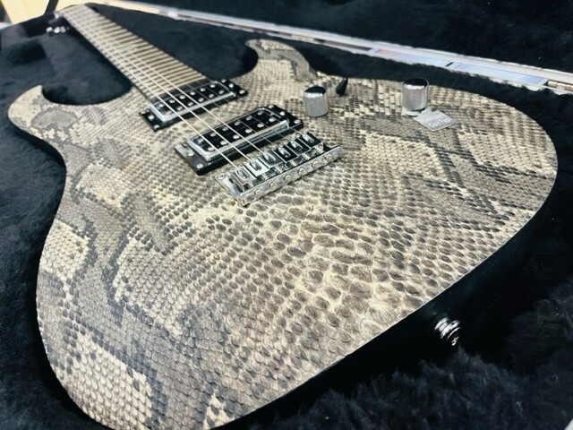 Electric Guitar Spear Gladius Hard Tail Snake Bite Electric Guitar Spear Gladius Hard Tail Snake Bite