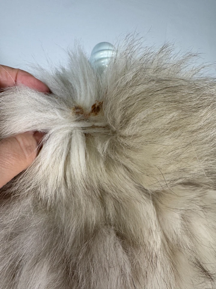 Abrigo Chaqueta Bolsillos Para Mujer Vintage Saga Furs Genuino Gris Plateado Piel Zorro Talla L Foto 4 de 4