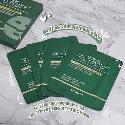 WELLDERMA Premium Cica Treatment Repair Fitting Mask  for Sensitive Skin 4Sheets