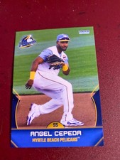 Angel Cepeda Card 2025 Myrtle Beach Pelicans Team Card