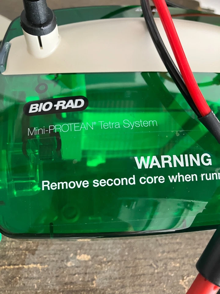 BIO-RAD PowerPac Базовый Электрофорез PS с Мини Протеиновой Системой Тетра *ПРОТЕСТИРОВАН* - Изображение 4 из 4