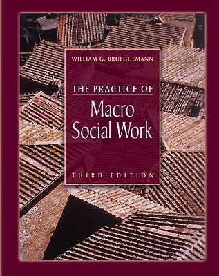 The Practice of Macro Social Work by Brueggemann, William G.