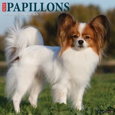 Papillons 2026 12" x 12" Wall Calendar (free shipping)