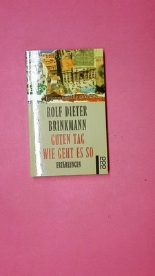 227834 Rolf Dieter Brinkmann GUTEN TAG, WIE GEHT ES SO 22009 Erzählungen