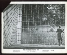 The INCREDIBLE SHRINKING MAN Original 1957 8 x 10 Still GRANT WILLIAMS vv