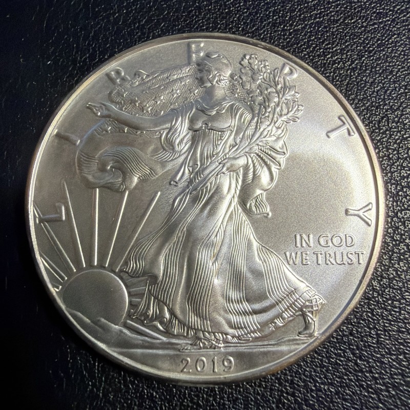 U.S. Mint 2019 American Silver Eagle $1 1 oz .999 Silver Coin E317