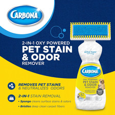 Oxy-Powered Pet Stain  Odor Remover  Carpet Cleaner for Pets  13.5oz
