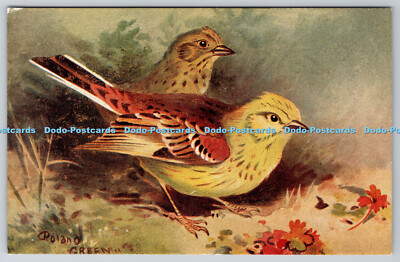R763022 Yellow Hammer Bird R S Kunstpresse Lansdowne Serie Roland grün