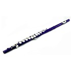 **BIG SAVING** SKY Purple/Silver Close Hole Flute 2020 Model *GREAT GIFT*