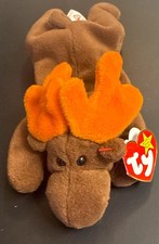TY Beanie Baby CHOCOLATE THE MOOSE Rare/Retired ERROR Birthday Apr 27 1993 JKT11