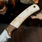 9.0" EDC Hunting Damascus Knife Handmade Full Tang Hybrid Handle Leather Sheath — photo 9