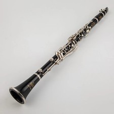 B-flat Tune Professional High Quality Woodwind Instruments Clarinet Black Tube