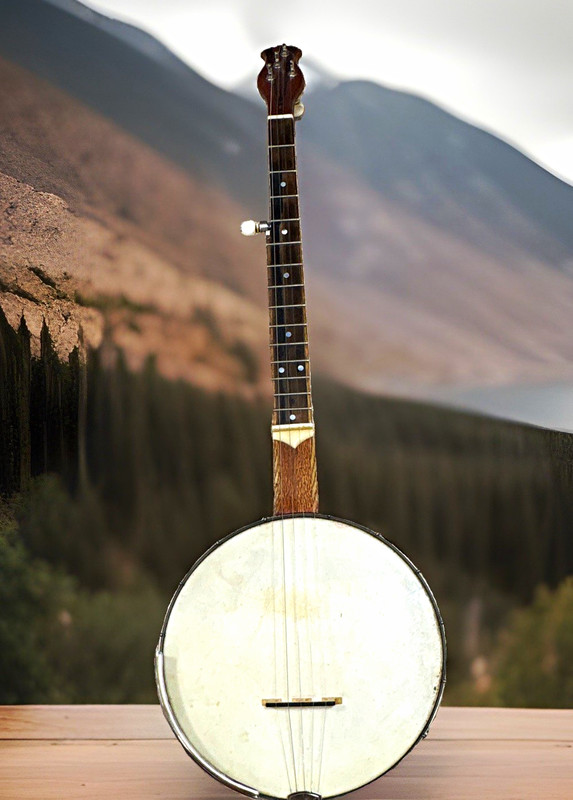 5-string Banjo Open Back Satin finish, custom neck, 11-inch pot, Right-Handed