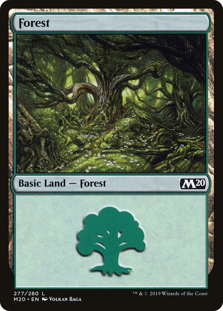 Forest #277 (HP) Core Set 2020 M20 Magic MTG
