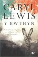 Caryl Lewis | Bwthyn, Y | Taschenbuch (2023) | Kartoniert / Broschiert | Y Lolfa