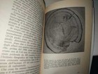 Picture 4 of 6