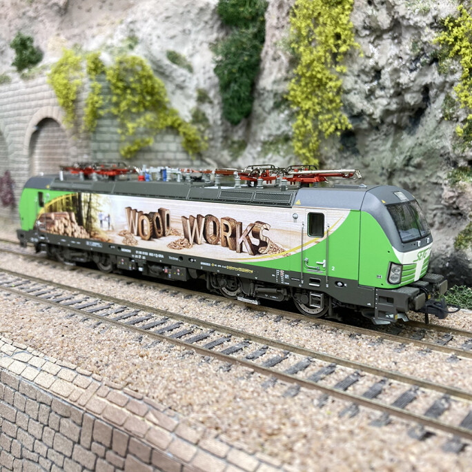 Vectron 193 692-1 Wood Works ROCO 751003 motrice haut de gamme HO en métal injecté