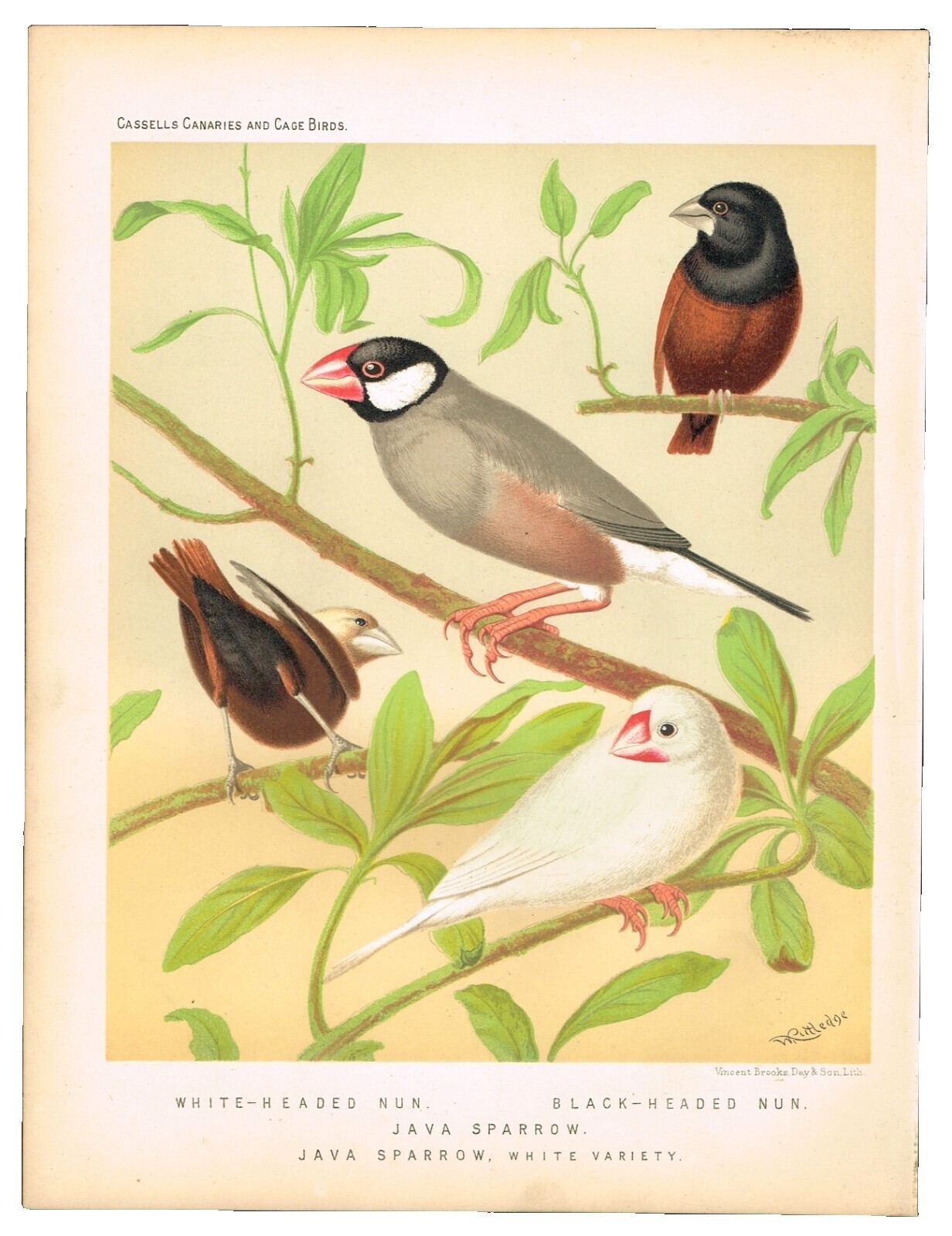 Lithographs Antique | eBay