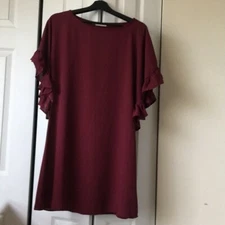 Pixi & Ivy Dress with Ruffle Sleeves