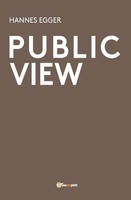 Public View Hannes Egger Taschenbuch Kartoniert / Broschiert Englisch 2016