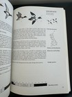 Picture 6 of 6