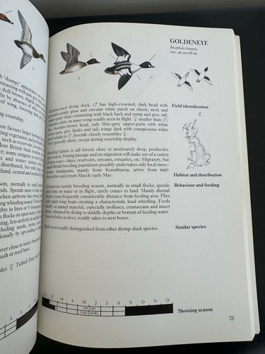 Handbook of Shooting: The Sporting Shotgun 1983 - Picture 6 of 6
