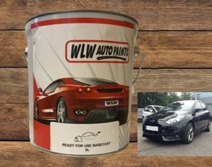 Panther black ford краска