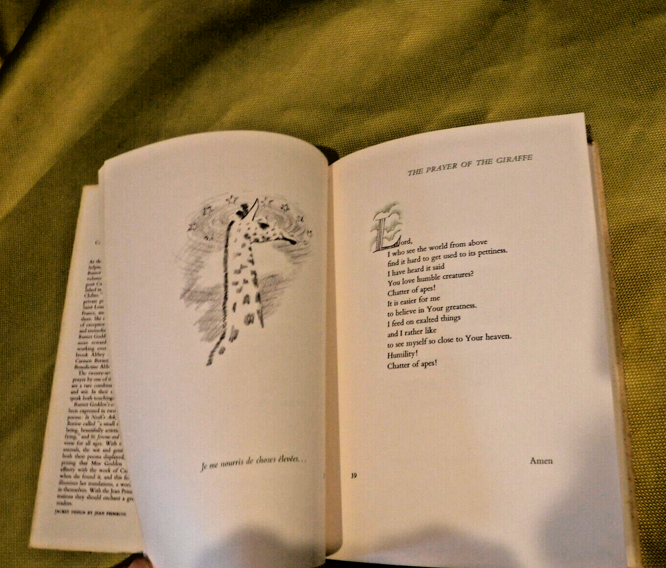 Picture 7 of 10